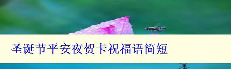 最新圣诞节情侣祝福语，给你的爱人最真挚的祝福（用短句表达爱意）