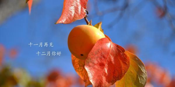倾听时间的微笑（11月再见12月你好）