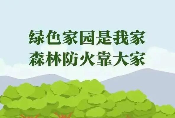 火线悬崖（最新森林防火宣传口号）