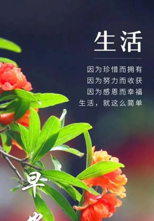 岁月静好，你我花开（以11月再见12月）
