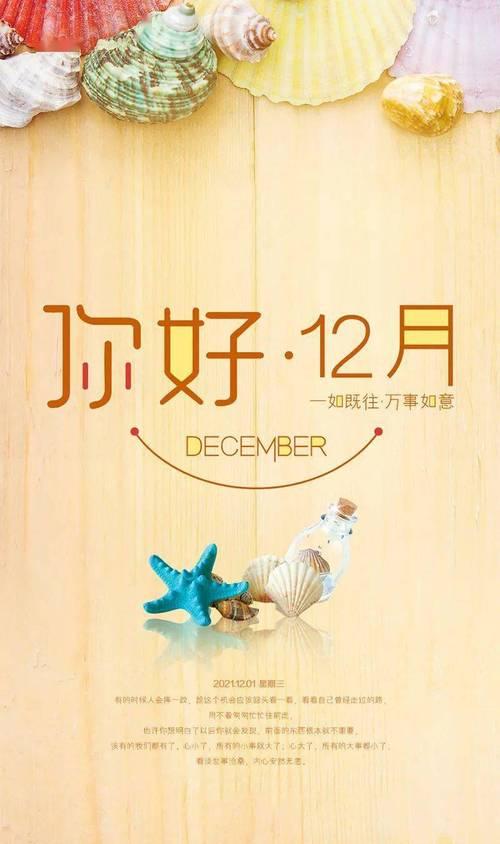 岁月静好，你我花开（以11月再见12月）
