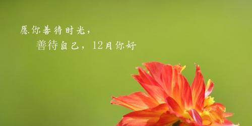 岁月静好，你我花开（以11月再见12月）