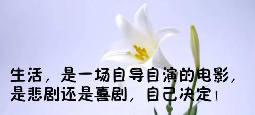 在时间里凝固人生（最新人生感悟经典句子摘抄）