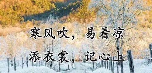 以唯美短句传递冬日的温馨和祝福（以唯美短句传递冬日的温馨和祝福）