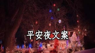 《平安夜，幸福降临》