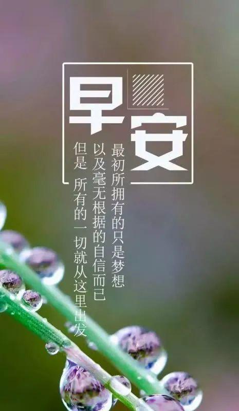 唯美的朋友圈早安语录（25个段落带你探寻其中的美好）