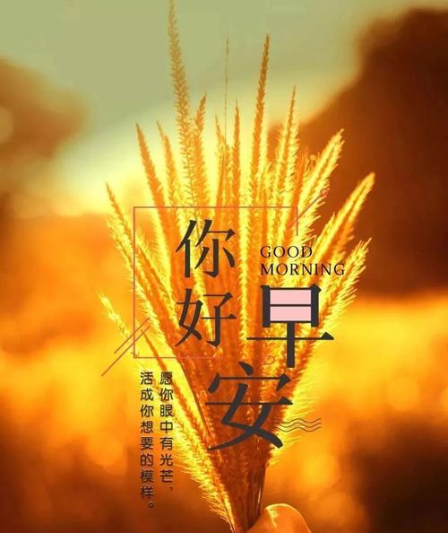 唯美的朋友圈早安语录（25个段落带你探寻其中的美好）