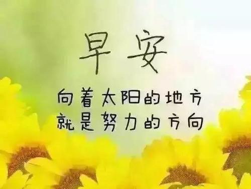 落红成诗——最新朋友圈说说唯美句子集锦（用文字诠释生活）