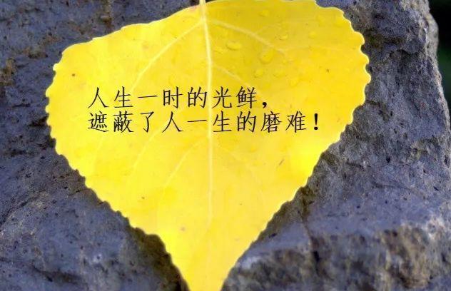 落红成诗——最新朋友圈说说唯美句子集锦（用文字诠释生活）