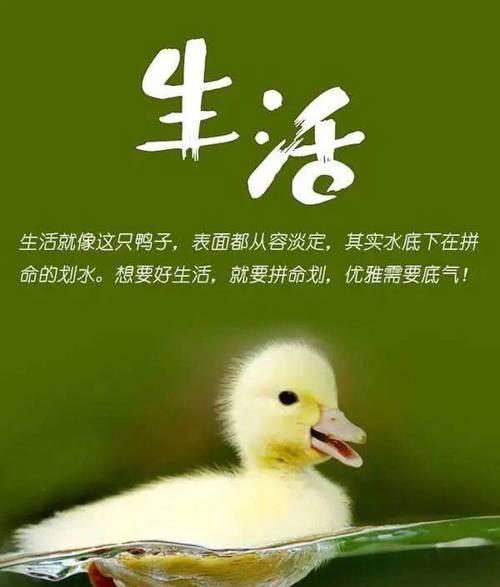 落红成诗——最新朋友圈说说唯美句子集锦（用文字诠释生活）
