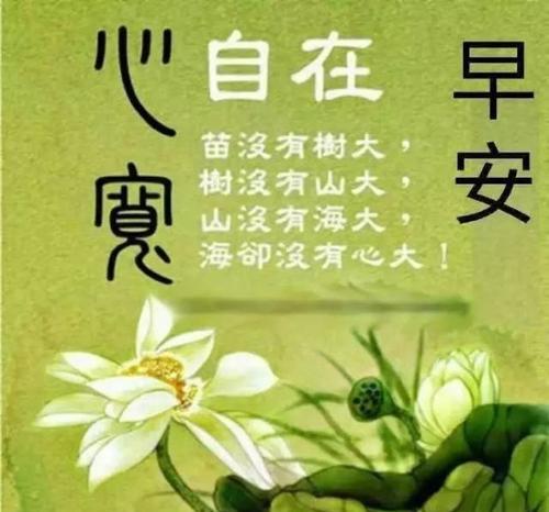 暖心早安问候语（温暖的阳光）