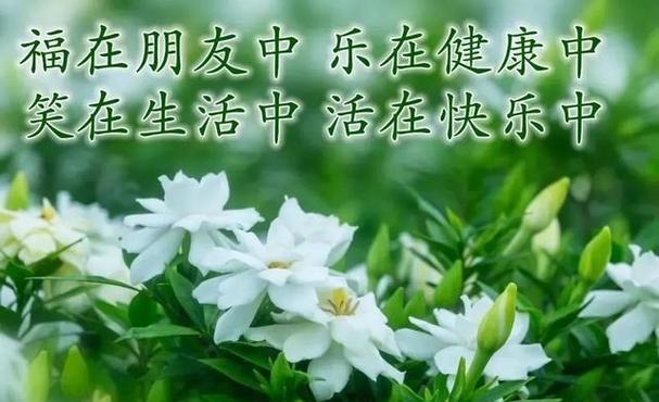暖心早安问候语（温暖的阳光）