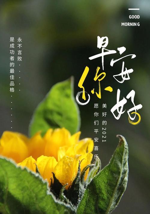 用唯美句子传递温暖（用唯美句子传递温暖）