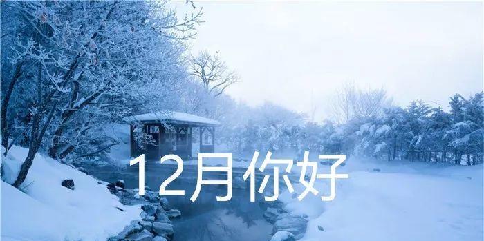冬日微光，诗意盎然（探寻12月最美的短句）