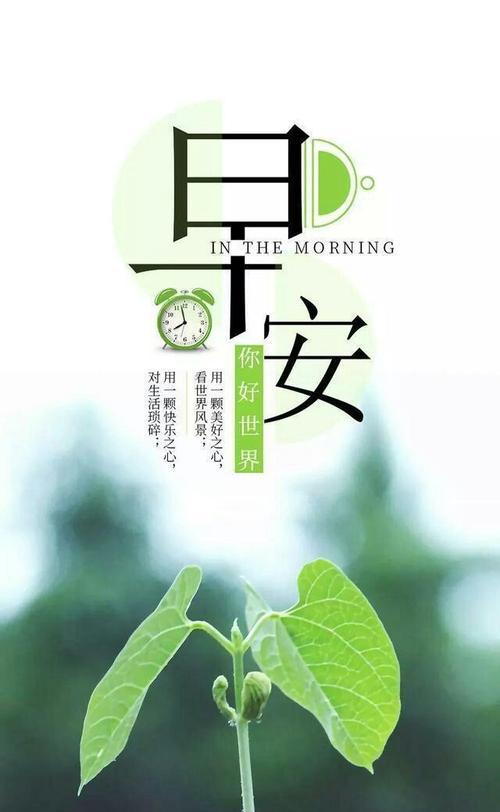 清晨的温暖祝福（每天早上一句早安心语）