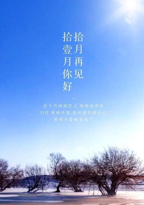 岁月轮回，情谊长存（一月终结）