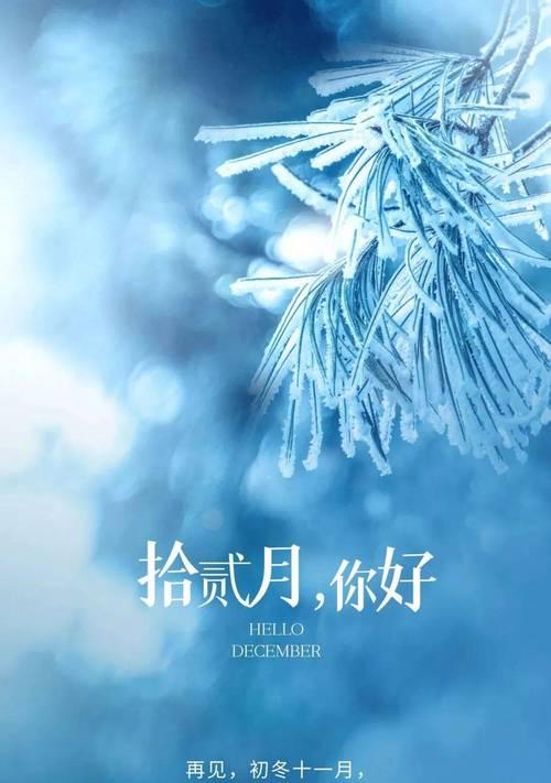 岁月轮回，情谊长存（一月终结）