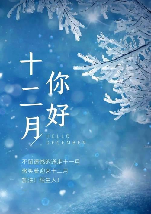 岁月轮回，情谊长存（一月终结）