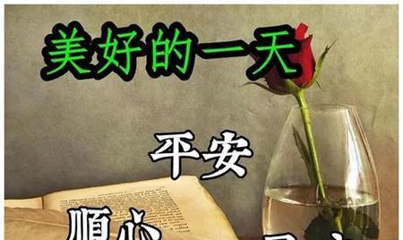 风吹过2024的夏天，留下了唯美的印迹