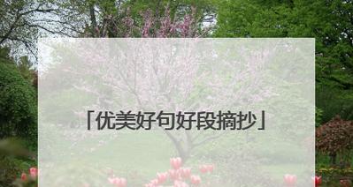 充满阳光的人生（励志个人好词好句摘抄）
