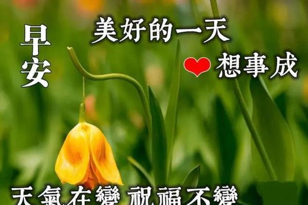 立夏祝福语优美范例（唯美短句传递温馨祝福）