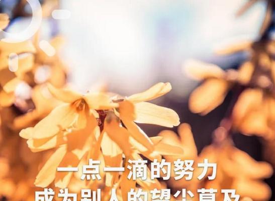 生活有美好，世界如此美妙（最新乐观经典句子引领美好生活）