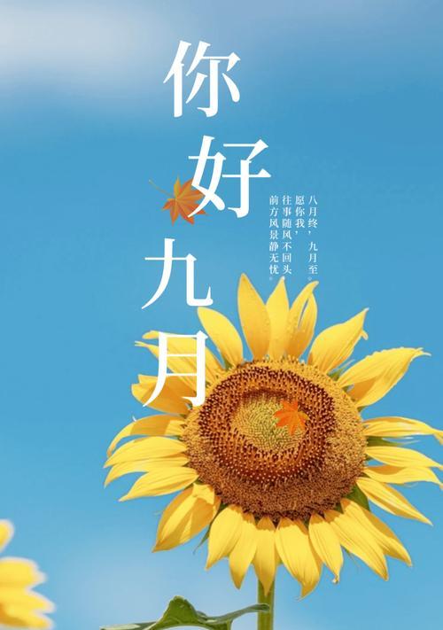 九月时光如诗（在朋友圈中）