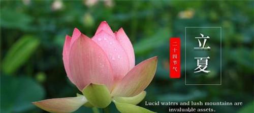 立夏祝福，花香暖阳洒满人间（最新经典立夏祝福句子范例130句）
