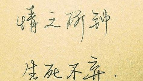七夕之情：唯美句子摘抄
