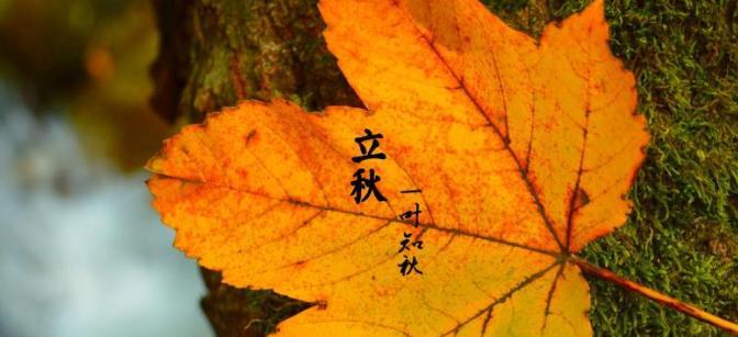 《迎接立秋》