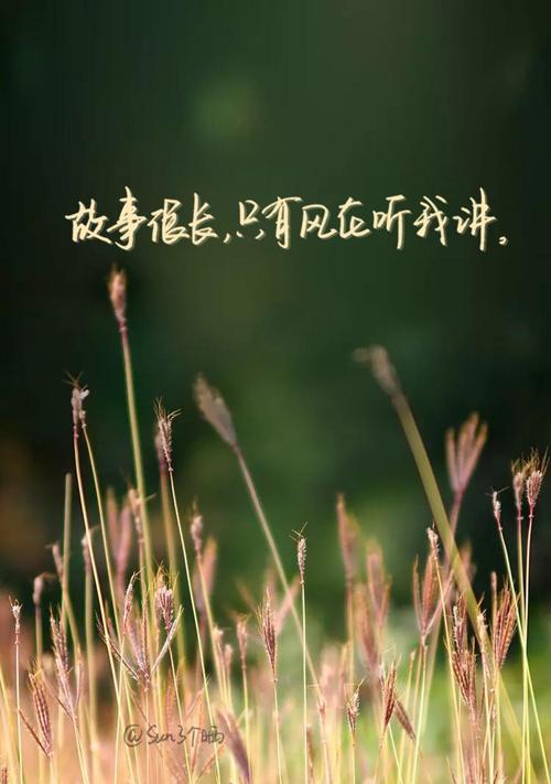 掌握情绪，以静制动（25个唯美短句）