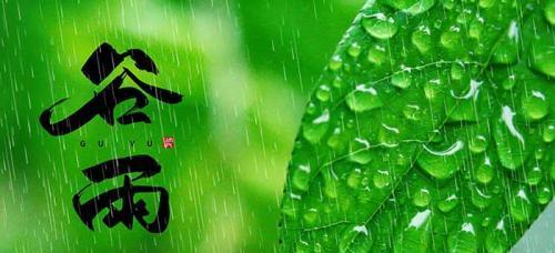 一场盛宴（回顾谷雨节最优秀的祝福语）