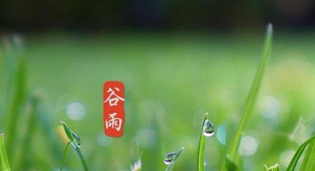 一场盛宴（回顾谷雨节最优秀的祝福语）