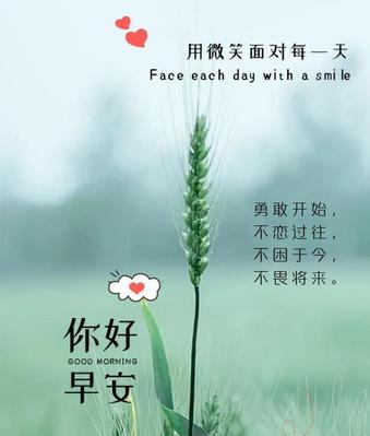 清晨芬芳——以最新发朋友圈的早安说说心灵语录为主题（唯美短句）