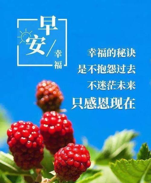 清晨芬芳——以最新发朋友圈的早安说说心灵语录为主题（唯美短句）