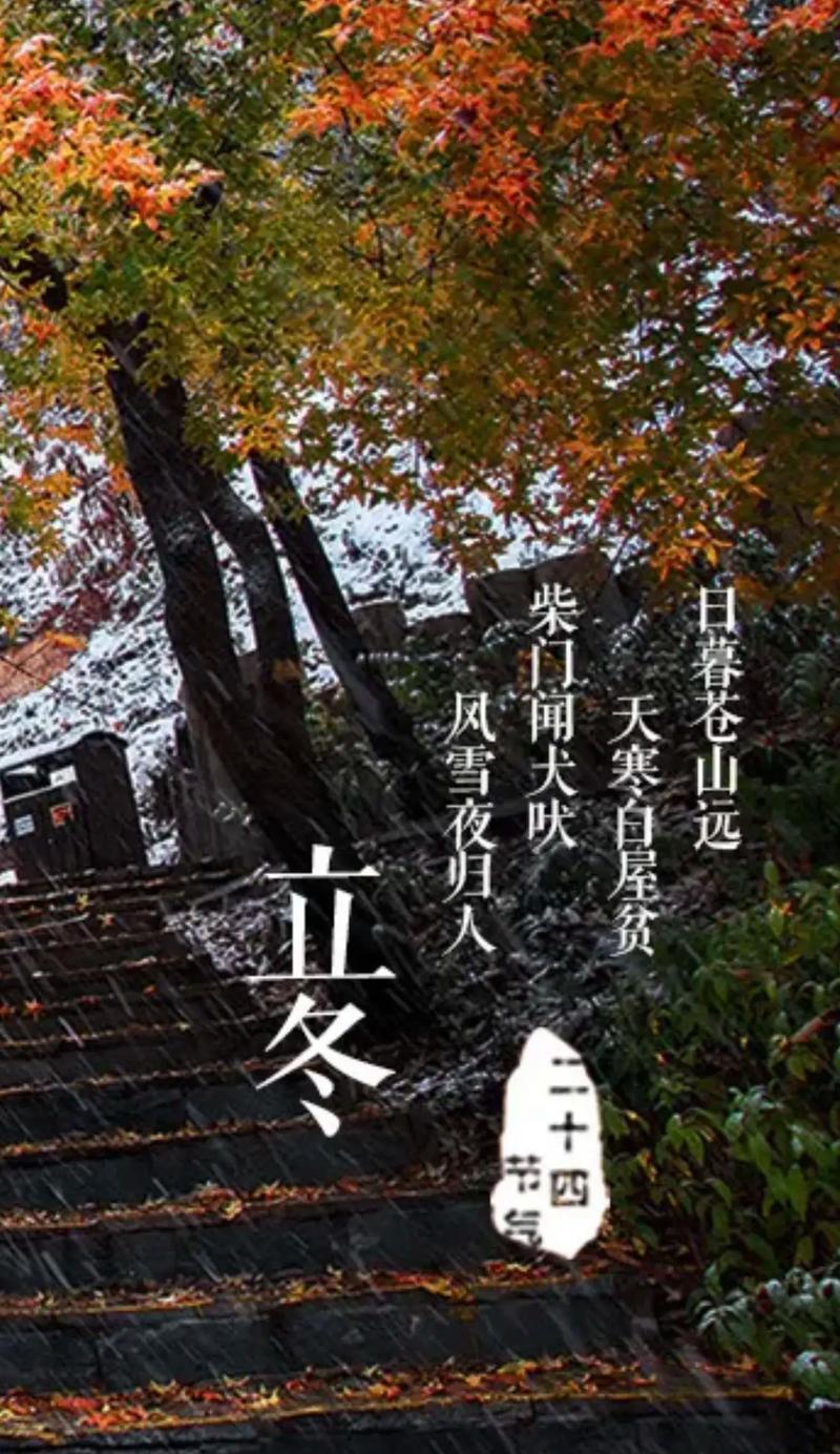 迎接立冬，祝福纷飞（最新抖音朋友圈祝福集锦）