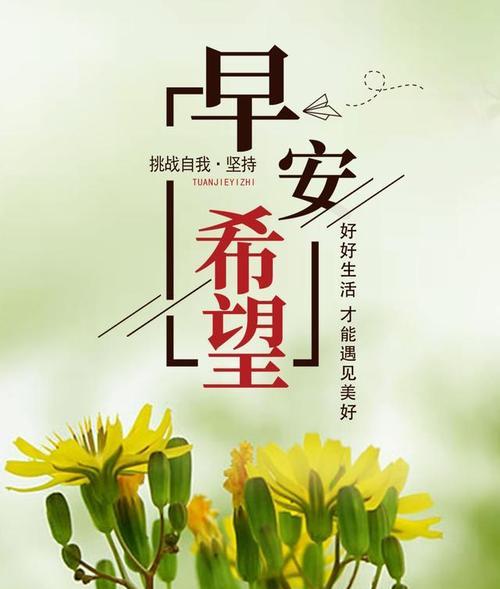 早安问候语句子（用短句传递关怀）