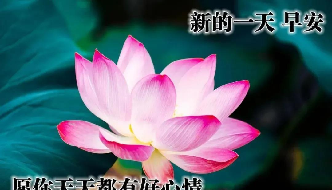 早安问候语句子（用短句传递关怀）