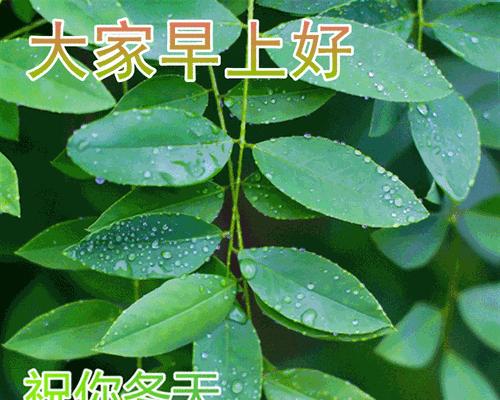 保暖祝福语录，温暖你我（最新天冷注意保暖）
