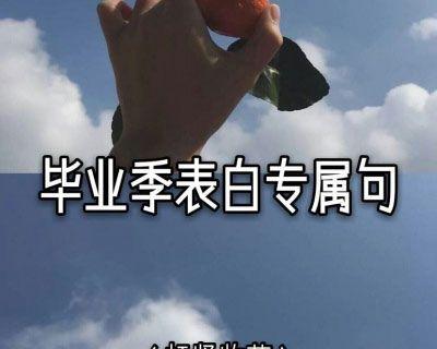 88条唯美句子，缔造永恒记忆（88条唯美句子）