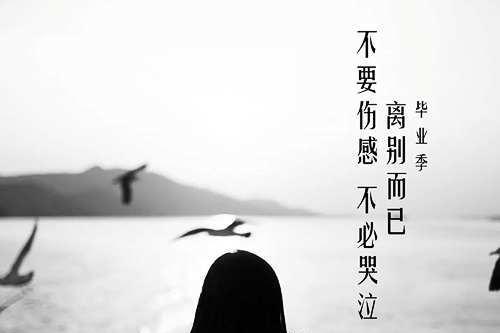 留言里的美好（82条毕业留言读后感）