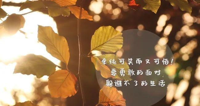 心情如花，绽放生机——最新9月心情说说励志句子