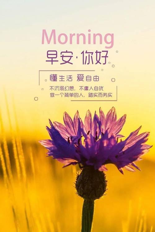 用最新早安语录，带你迎接美好新生活（2024年）