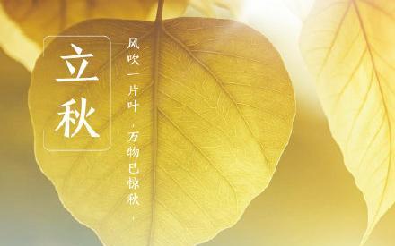 瑰丽立秋，唯美绝伦（用最新2024立秋说说唯美一句话）
