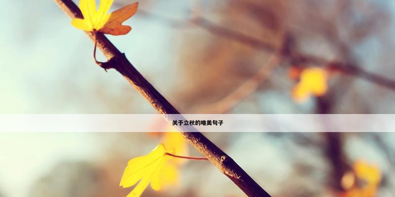 瑰丽立秋，唯美绝伦（用最新2024立秋说说唯美一句话）