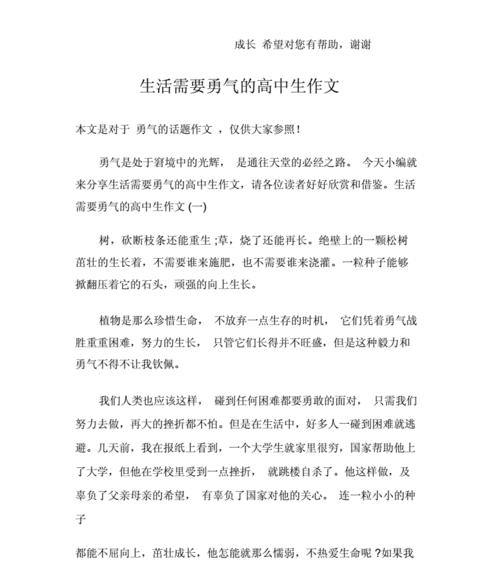 勇气的力量（一个少年的成长之路）