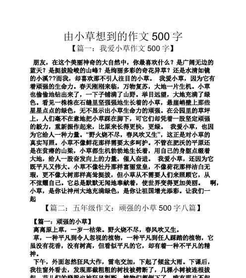 幸运的四叶草——一个寻找的故事