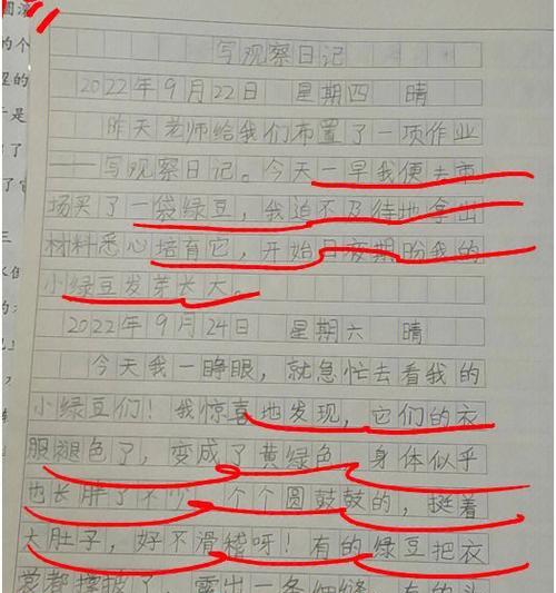 奋斗让我不再孤单（劳动体验日记）