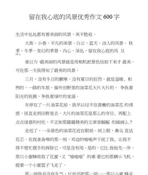 在身边寻找美丽（那年夏天）