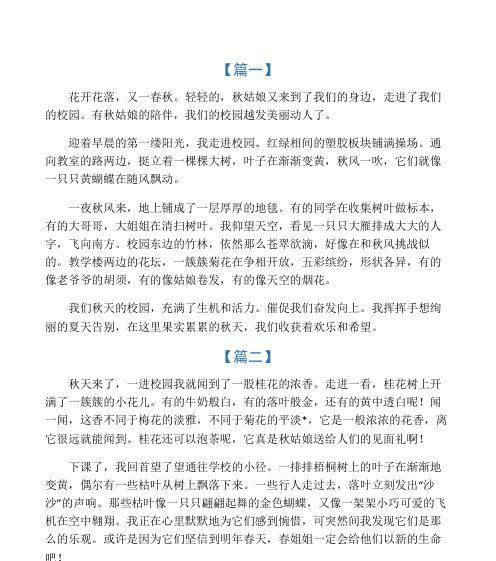 在身边寻找美丽（那年夏天）